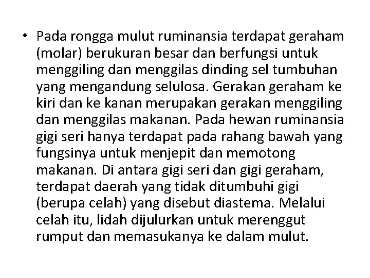  • Pada rongga mulut ruminansia terdapat geraham (molar) berukuran besar dan berfungsi untuk