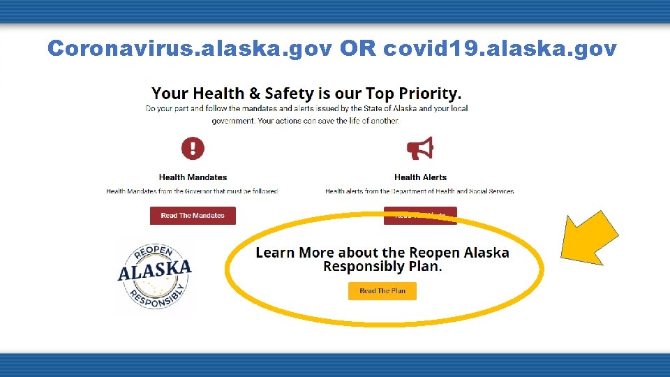 Coronavirus. alaska. gov OR covid 19. alaska. gov 