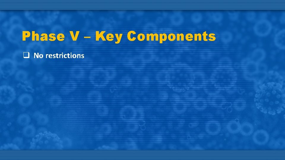 Phase V – Key Components q No restrictions 