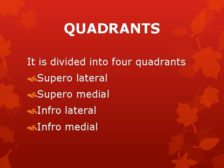 QUADRANTS It is divided into four quadrants Supero lateral Supero medial Infro lateral Infro