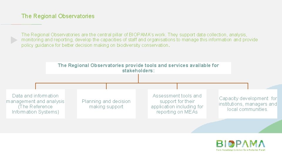 The Regional Observatories are the central pillar of BIOPAMA’s work. They support data collection,