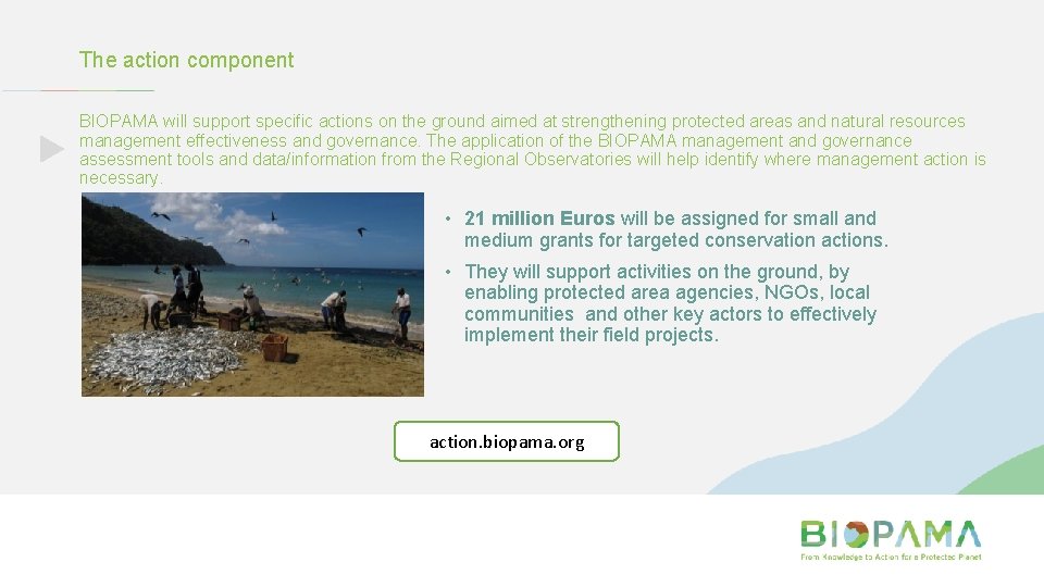 The action component BIOPAMA will support specific actions on the ground aimed at strengthening