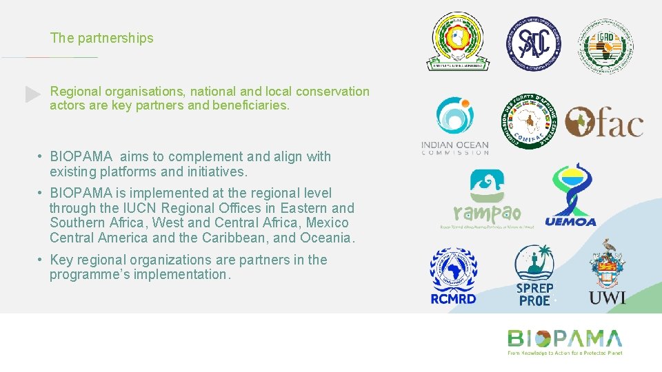The partnerships Regional organisations, national and local conservation actors are key partners and beneficiaries.