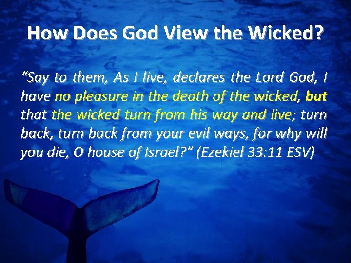 How Does God View the Wicked? “Say to them, As I live, declares the