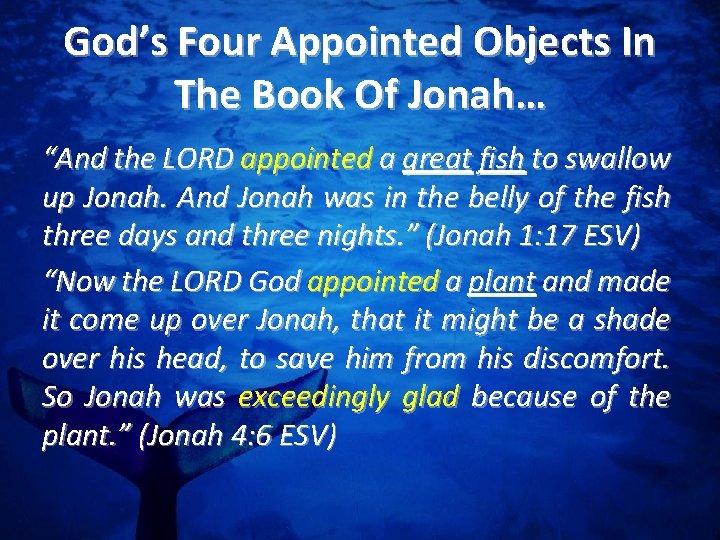 God’s Four Appointed Objects In The Book Of Jonah… “And the LORD appointed a