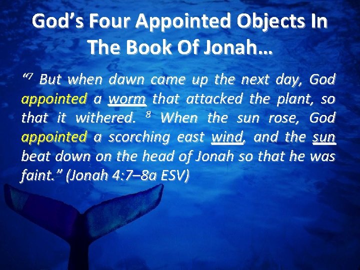 God’s Four Appointed Objects In The Book Of Jonah… “ 7 But when dawn