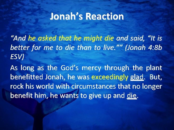 Jonah’s Reaction “And he asked that he might die and said, “It is better