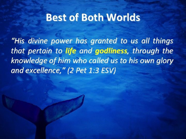 Best of Both Worlds “His divine power has granted to us all things that