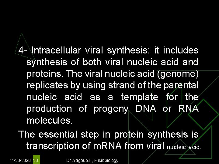 4 - Intracellular viral synthesis: it includes synthesis of both viral nucleic acid and