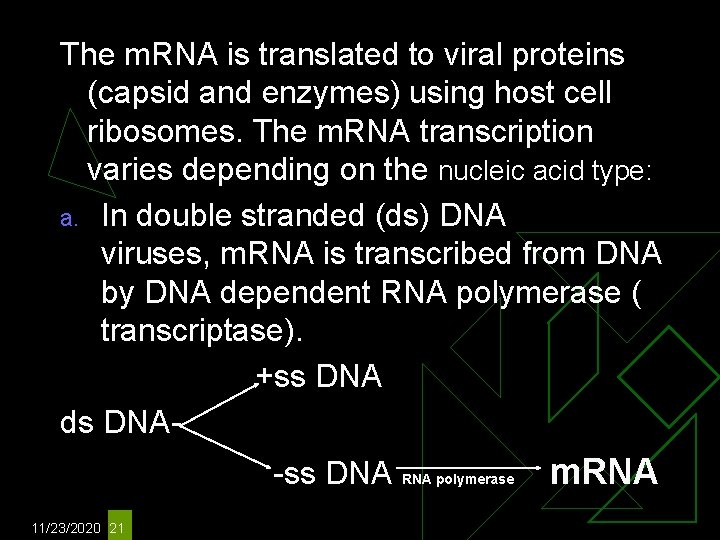 The m. RNA is translated to viral proteins (capsid and enzymes) using host cell