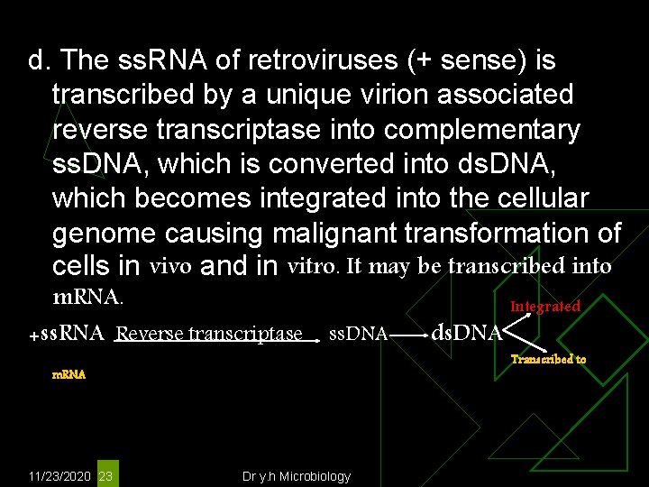 d. The ss. RNA of retroviruses (+ sense) is transcribed by a unique virion