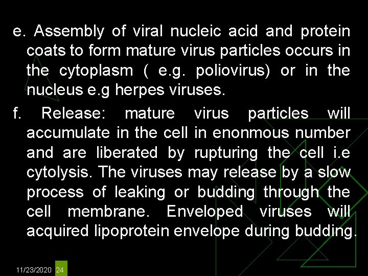 e. Assembly of viral nucleic acid and protein coats to form mature virus particles