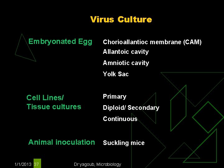 Virus Culture Embryonated Egg Chorioallantioc membrane (CAM) Allantoic cavity Amniotic cavity Yolk Sac Cell