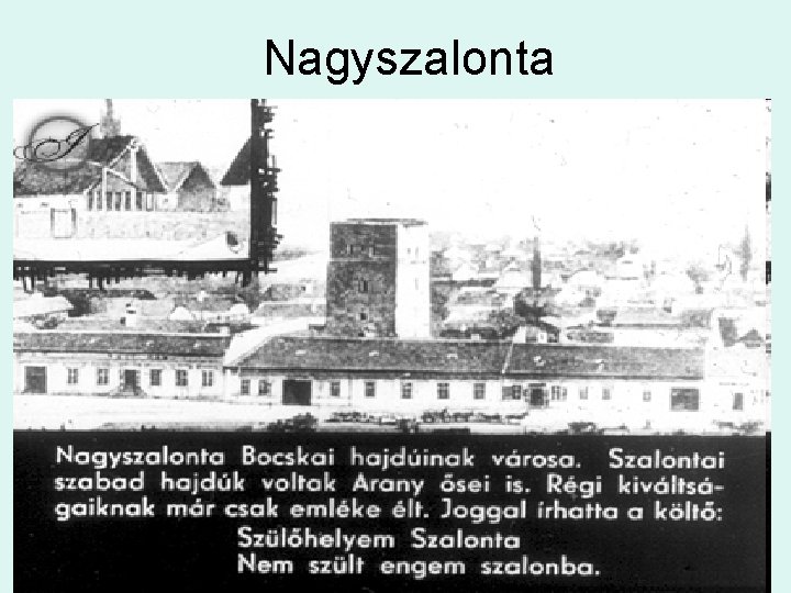 Nagyszalonta 