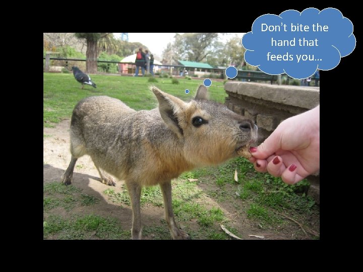 Don’t bite the hand that feeds you… 