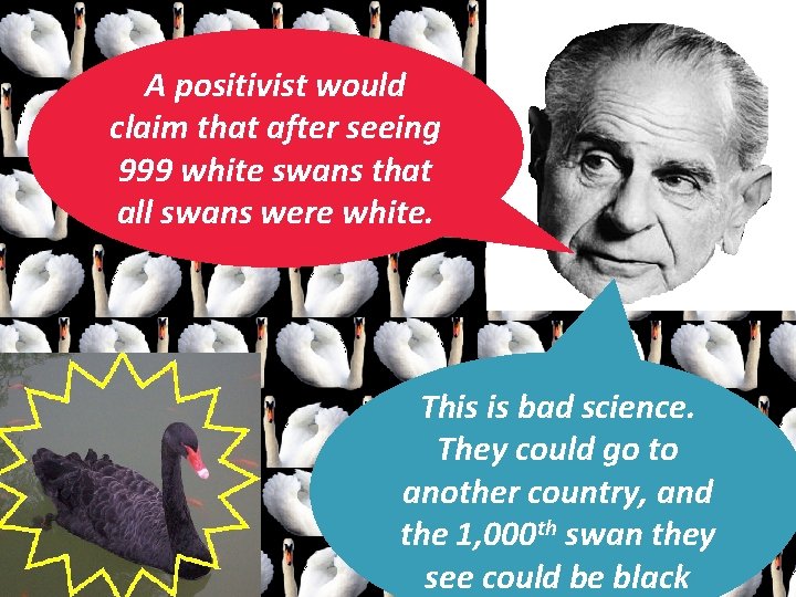 A positivist would claim that after seeing 999 white swans that all swans were