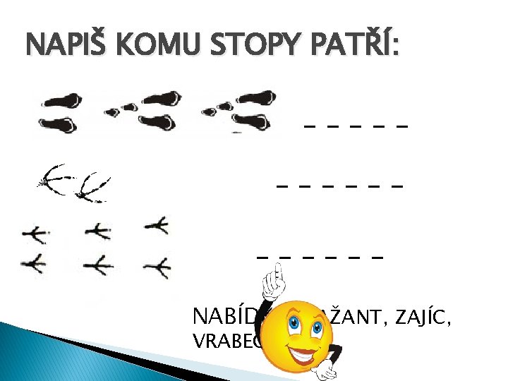 NAPIŠ KOMU STOPY PATŘÍ: ______ NABÍDKA: BAŽANT, ZAJÍC, VRABEC 