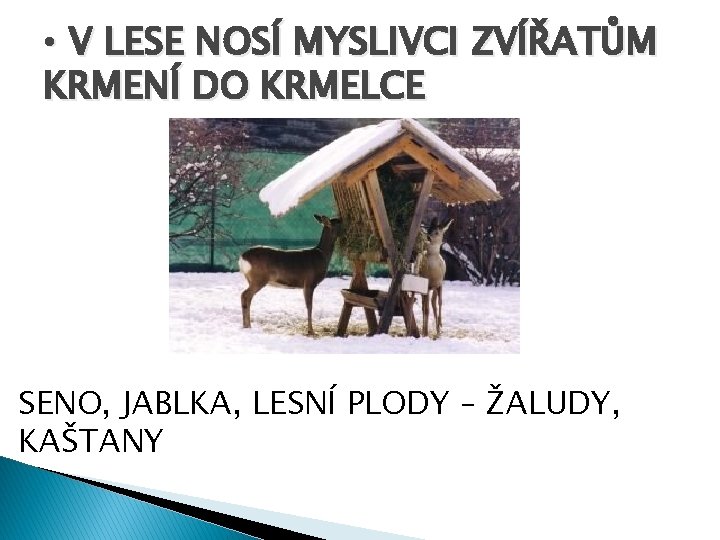  • V LESE NOSÍ MYSLIVCI ZVÍŘATŮM KRMENÍ DO KRMELCE SENO, JABLKA, LESNÍ PLODY