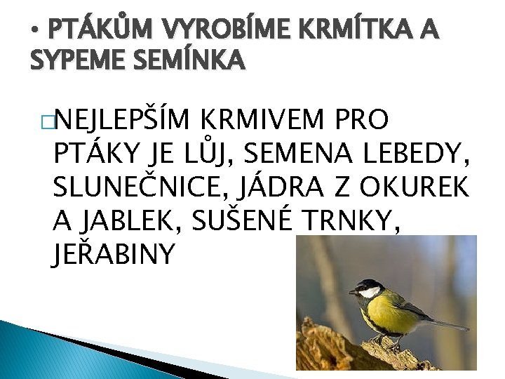  • PTÁKŮM VYROBÍME KRMÍTKA A SYPEME SEMÍNKA �NEJLEPŠÍM KRMIVEM PRO PTÁKY JE LŮJ,