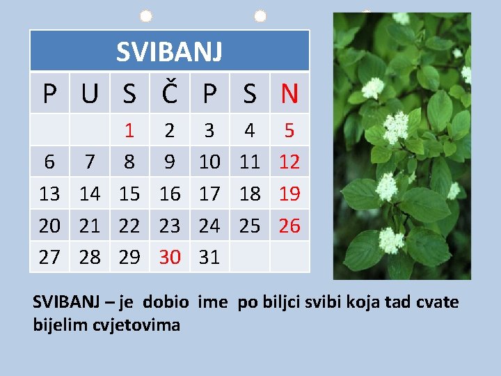 SVIBANJ P U S Č P S N 1 2 3 4 5 6