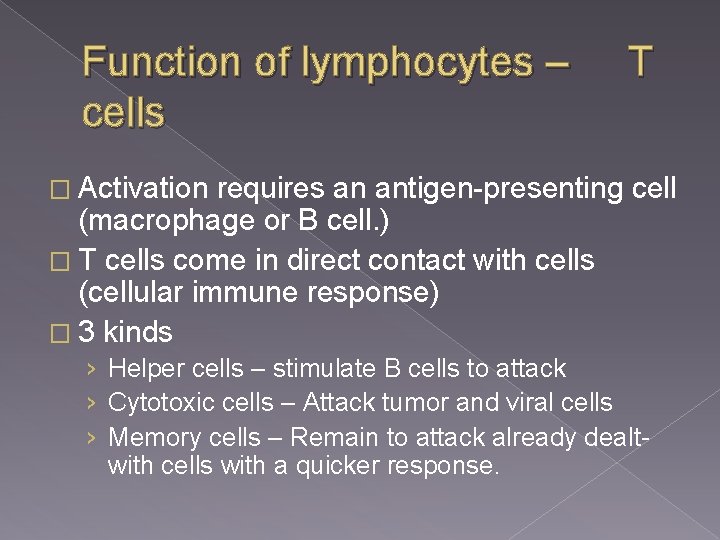 Function of lymphocytes – cells T � Activation requires an antigen-presenting cell (macrophage or