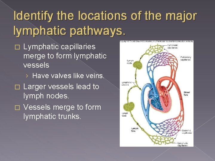 Identify the locations of the major lymphatic pathways. � Lymphatic capillaries merge to form