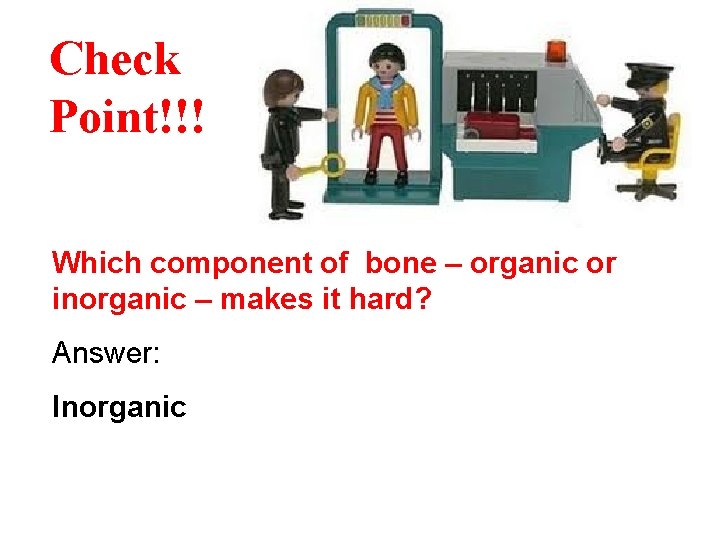 Check Point!!! Which component of bone – organic or inorganic – makes it hard?