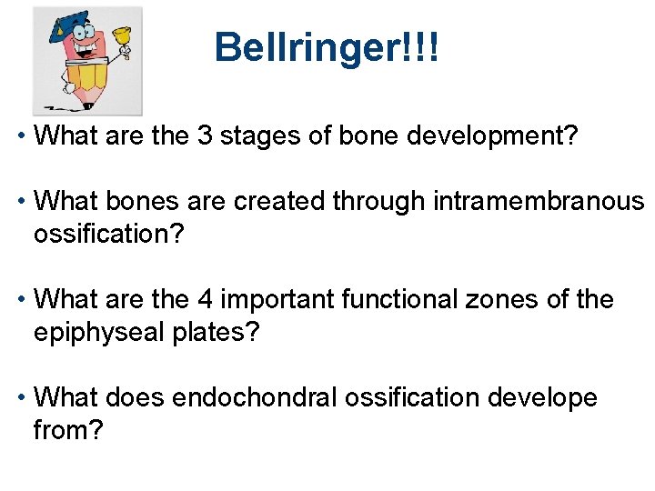 Bellringer!!! • What are the 3 stages of bone development? • What bones are