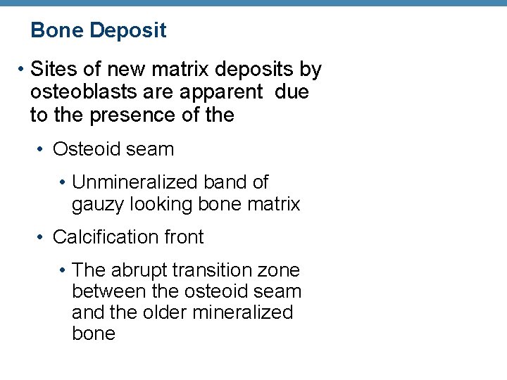 Bone Deposit • Sites of new matrix deposits by osteoblasts are apparent due to