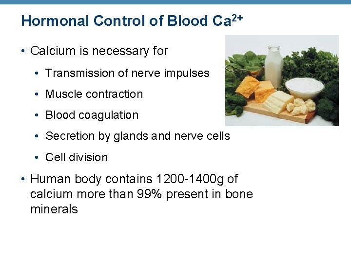 Hormonal Control of Blood Ca 2+ • Calcium is necessary for • Transmission of