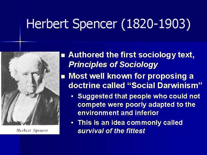 Herbert Spencer (1820 -1903) n n Authored the first sociology text, Principles of Sociology