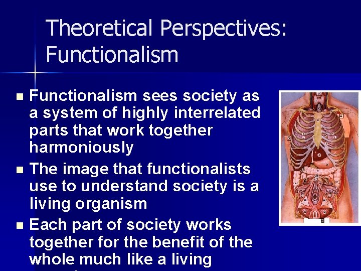 Theoretical Perspectives: Functionalism sees society as a system of highly interrelated parts that work