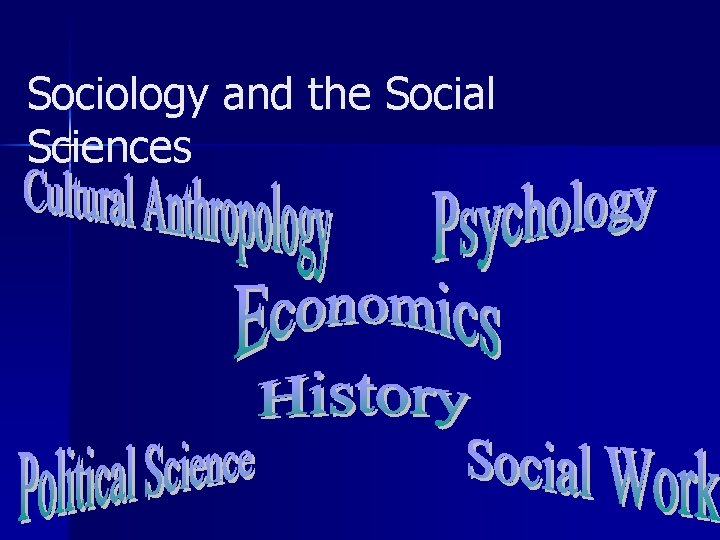 Sociology and the Social Sciences 