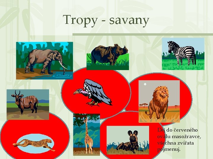 Tropy - savany Dej do červeného oválu masožravce, všechna zvířata pojmenuj. 