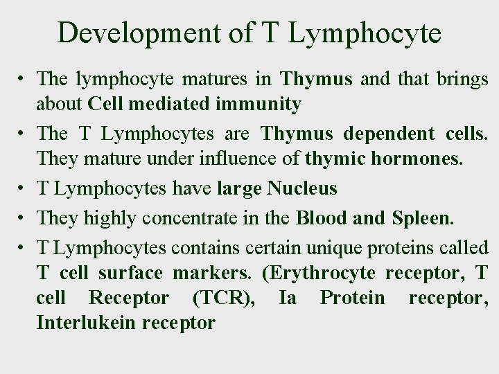 Development of T Lymphocyte • The lymphocyte matures in Thymus and that brings about