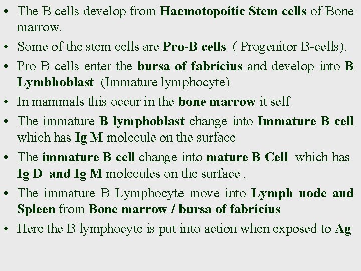  • The B cells develop from Haemotopoitic Stem cells of Bone marrow. •