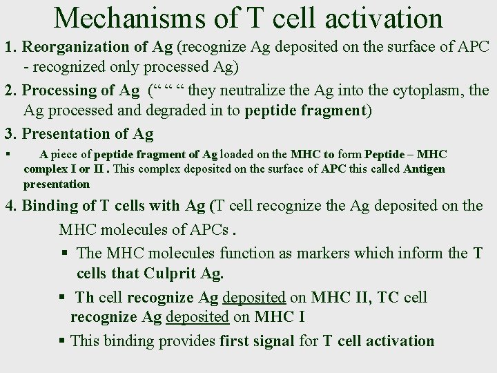 Mechanisms of T cell activation 1. Reorganization of Ag (recognize Ag deposited on the