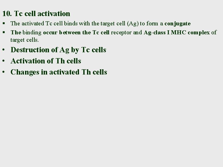 10. Tc cell activation § The activated Tc cell binds with the target cell