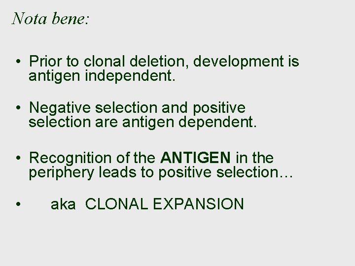 Nota bene: • Prior to clonal deletion, development is antigen independent. • Negative selection