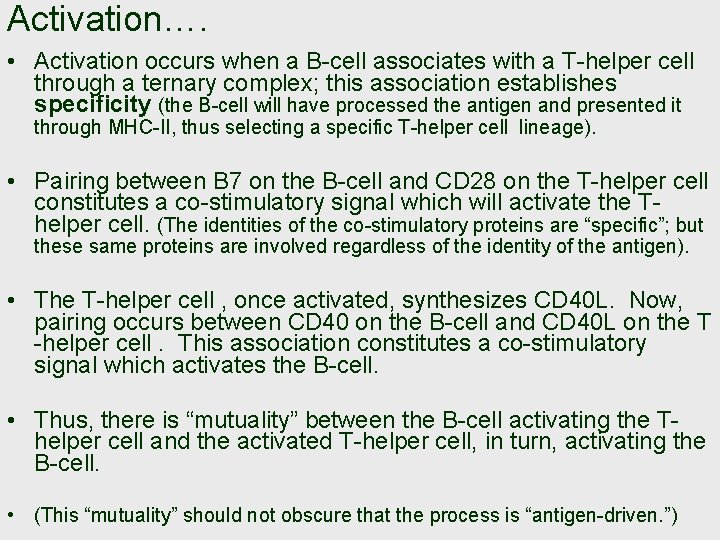 Activation…. • Activation occurs when a B-cell associates with a T-helper cell through a