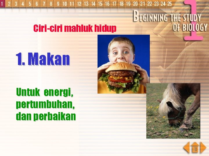 Ciri-ciri mahluk hidup 1. Makan Untuk energi, pertumbuhan, dan perbaikan 