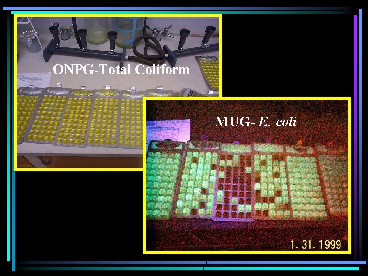 ONPG-Total Coliform MUG- E. coli 