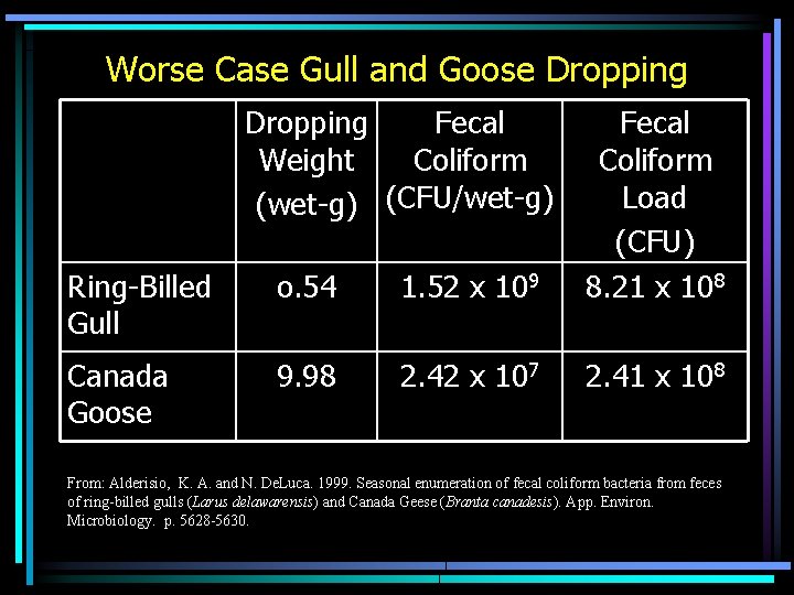 Worse Case Gull and Goose Dropping Fecal Weight Coliform (wet-g) (CFU/wet-g) Ring-Billed Gull o.