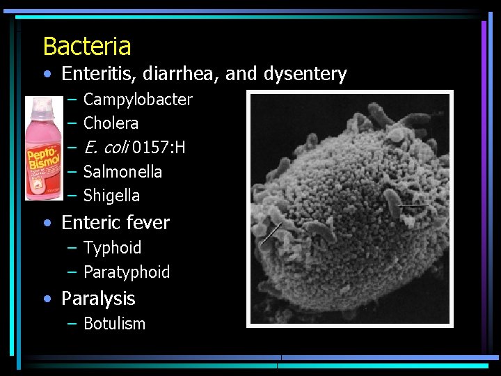 Bacteria • Enteritis, diarrhea, and dysentery – – – Campylobacter Cholera E. coli 0157: