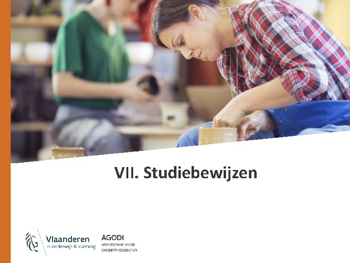 VII. Studiebewijzen 