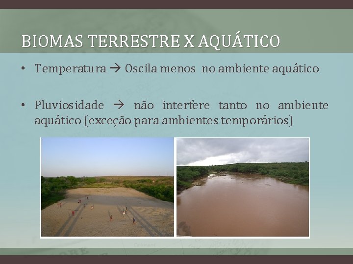 BIOMAS TERRESTRE X AQUÁTICO • Temperatura Oscila menos no ambiente aquático • Pluviosidade não