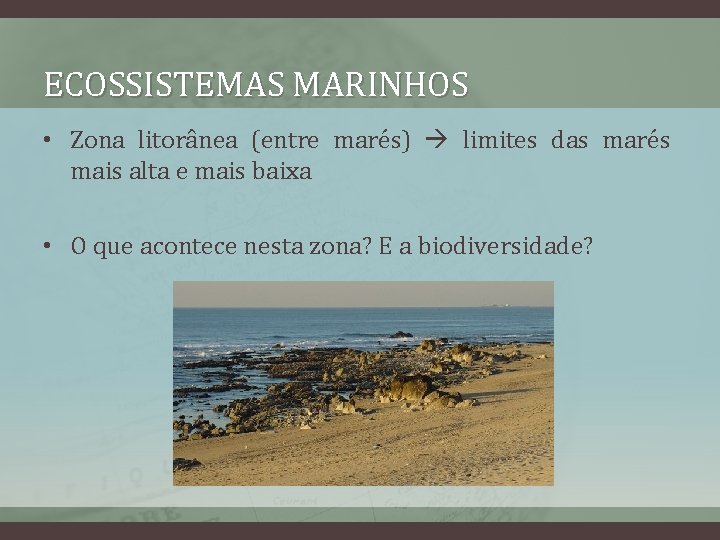 ECOSSISTEMAS MARINHOS • Zona litorânea (entre marés) limites das marés mais alta e mais