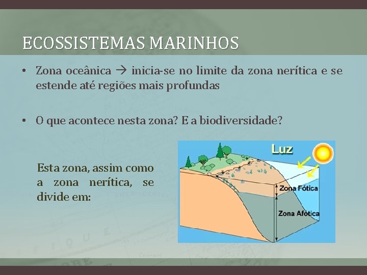 ECOSSISTEMAS MARINHOS • Zona oceânica inicia-se no limite da zona nerítica e se estende