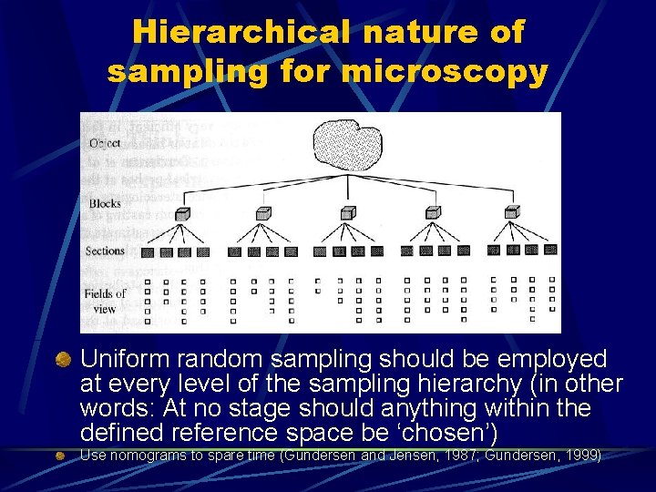 Hierarchical nature of sampling for microscopy Uniform random sampling should be employed at every