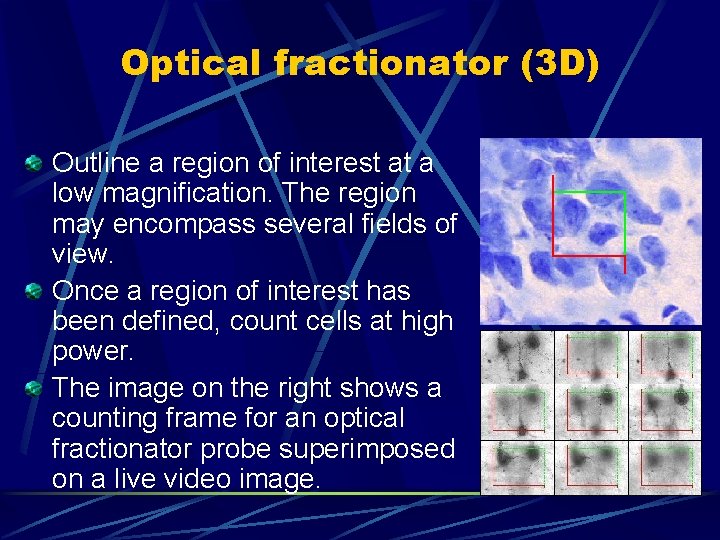 Optical fractionator (3 D) Outline a region of interest at a low magnification. The